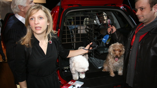 Chicago Auto Show: Volvo Goes To The Dogs